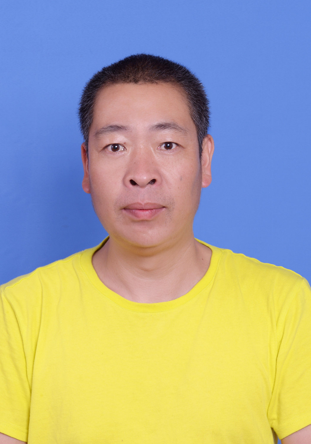 金陳西